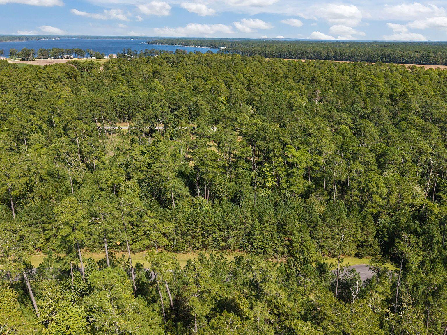 87 Mason Ln Merritt, NC 28556 - Thumbnail 5