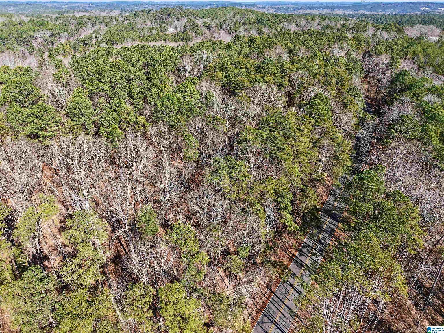 15045 Lock 17 Rd #1 Adger, AL 35006 - Thumbnail 5