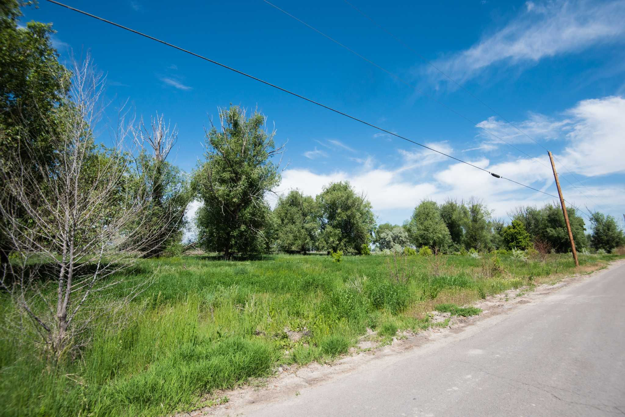 6595 North 6000 West, Highland, UT, USA, 84003 - Thumbnail 5