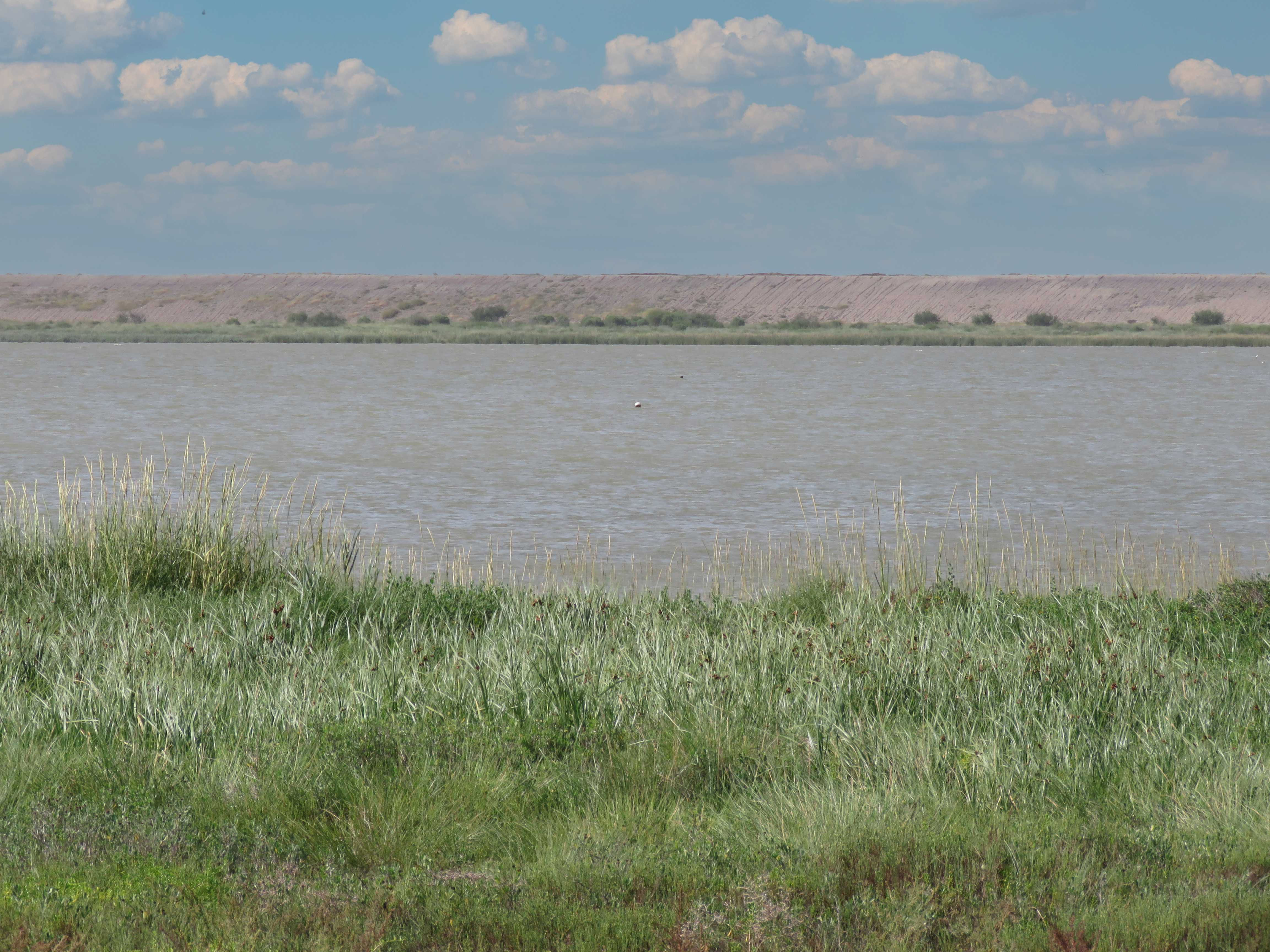 109 Sunrise Drive, Rockport, TX, USA, 78382 - Thumbnail 5