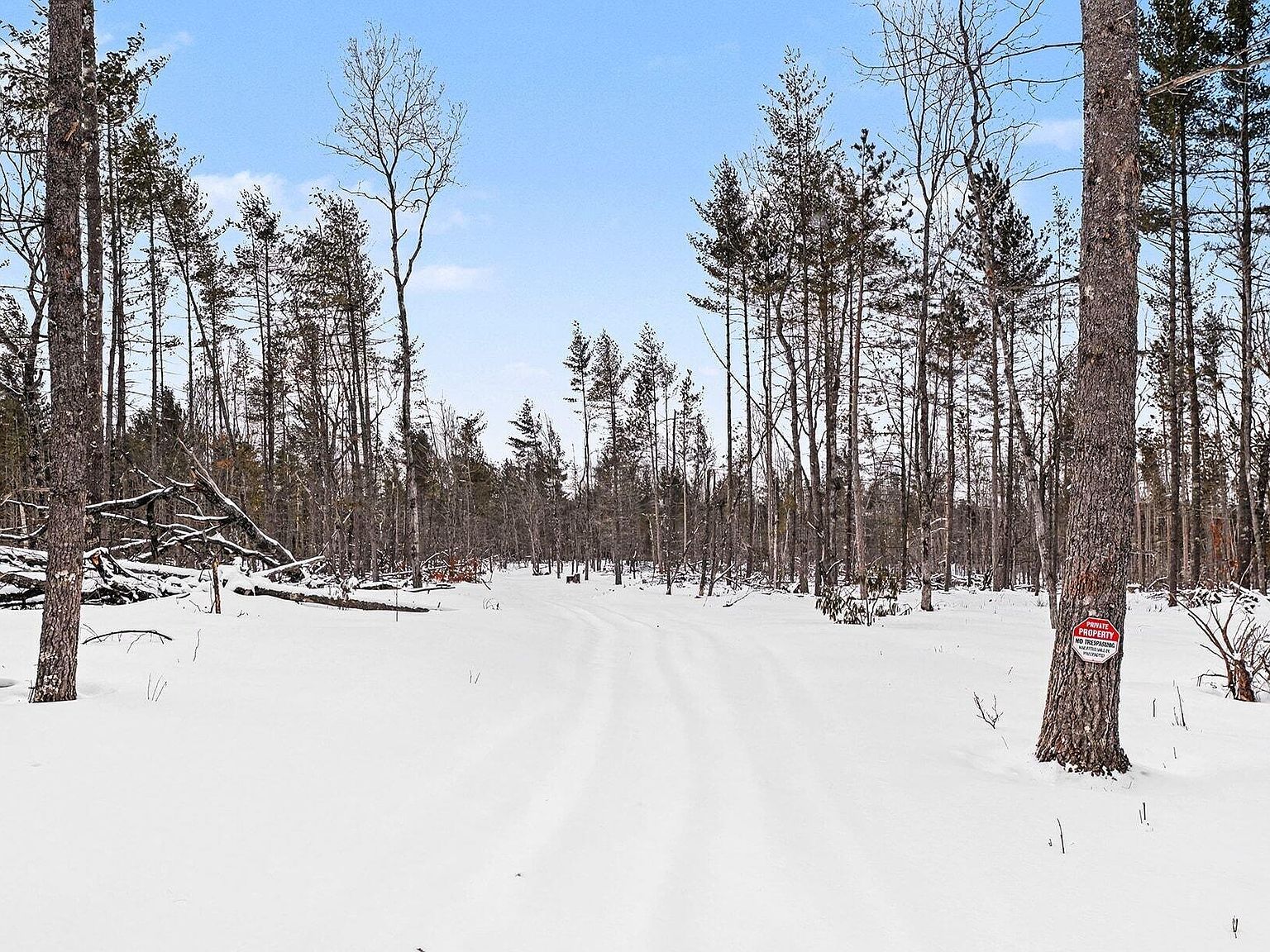 0 Vl N Lake City, MI 49651 - Thumbnail 5