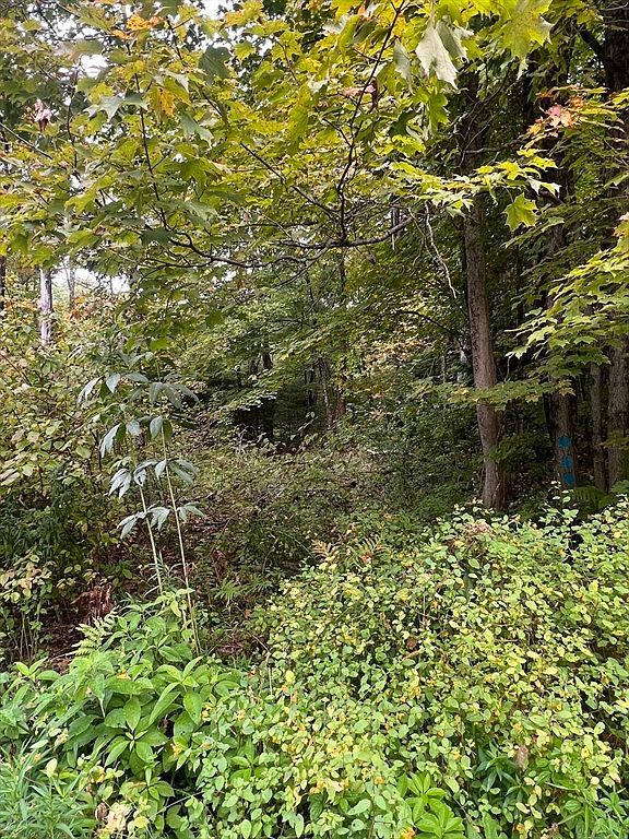 0 Allen Rd Belchertown, MA 01007 - Thumbnail 5