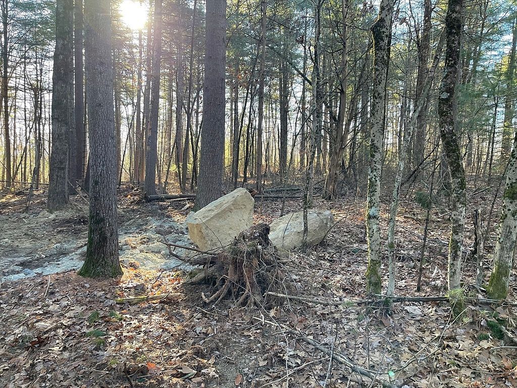 LOT 38 38b Michael Shrs Belchertown, MA 01007  | Land/Lot