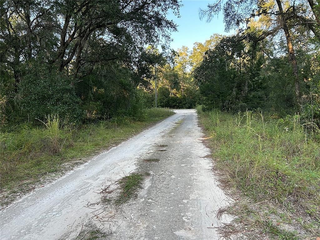NE 155th Ct LOT 2 Williston, FL 32696 - Thumbnail 5
