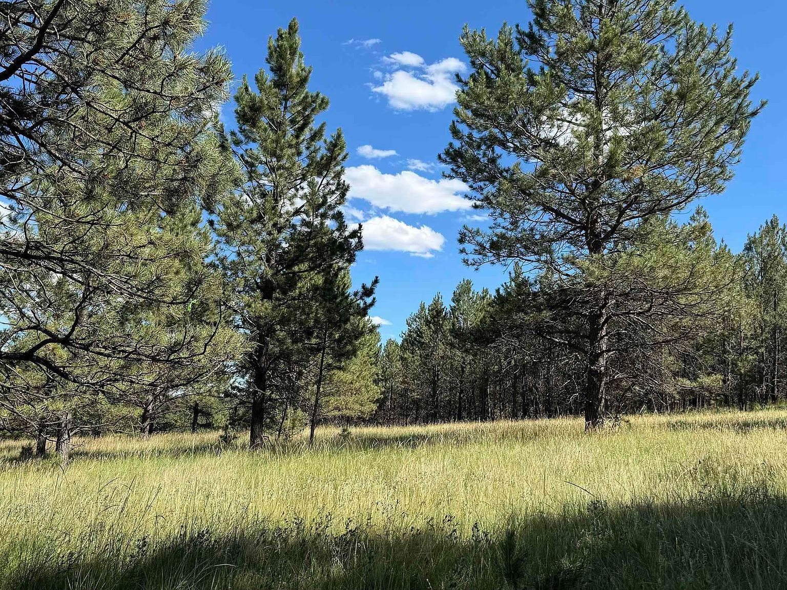 Hart Rd Hot Springs, SD 57747 - Thumbnail 5