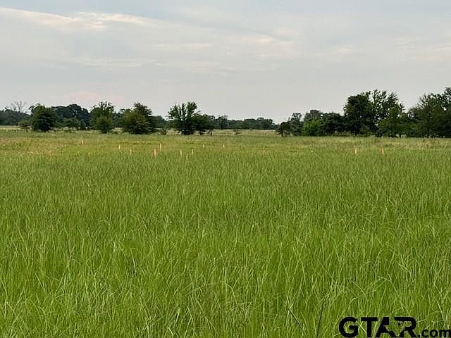 0 Smith Rd Kemp, TX 75143 - Thumbnail 5
