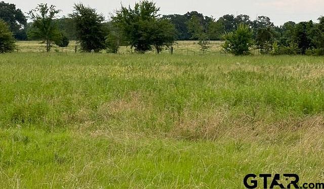 0 S Tool Dr Kemp, TX 75143 - Thumbnail 5