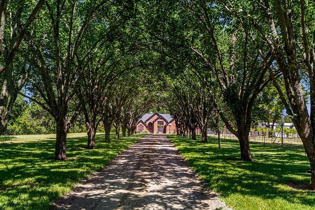 1933 Vz County Road 2721 Mabank, TX 75147 - Thumbnail 5