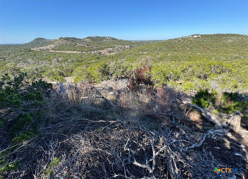 1220 Serenity Fischer, TX 78623 - Thumbnail 5