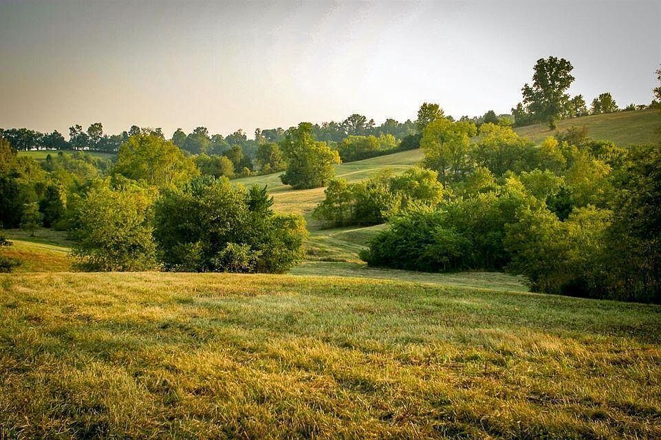 0 Deer Chase Rd Tract 15 Stanford, KY 40484 - Thumbnail 5