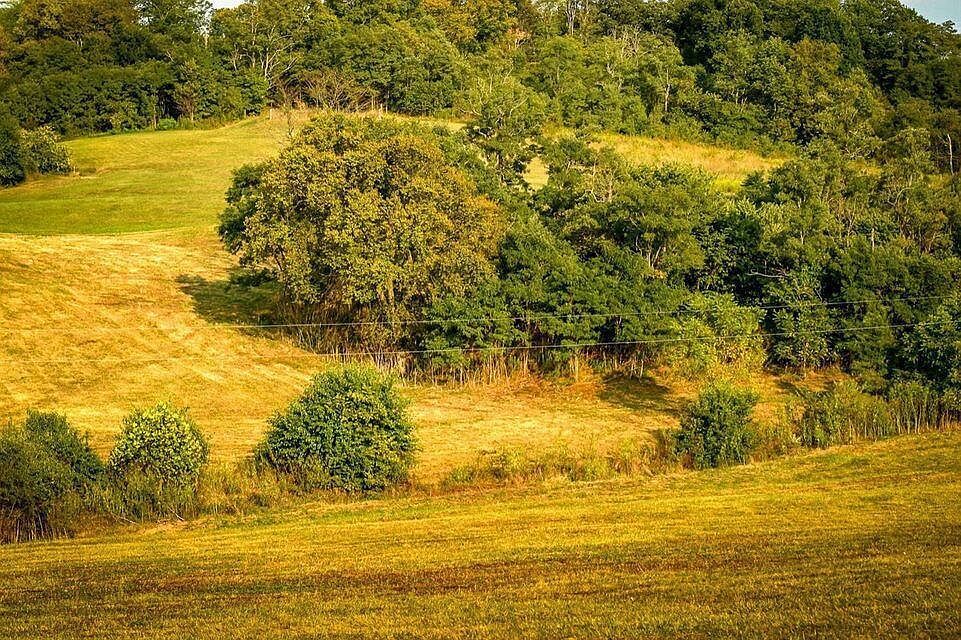 0 Deer Chase Rd Tract 16 Stanford, KY 40484 - Thumbnail 5