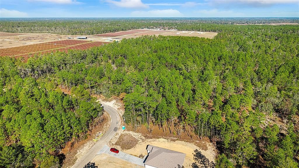 8941 N Farrington Dr Citrus Springs, FL 34433 - Thumbnail 5