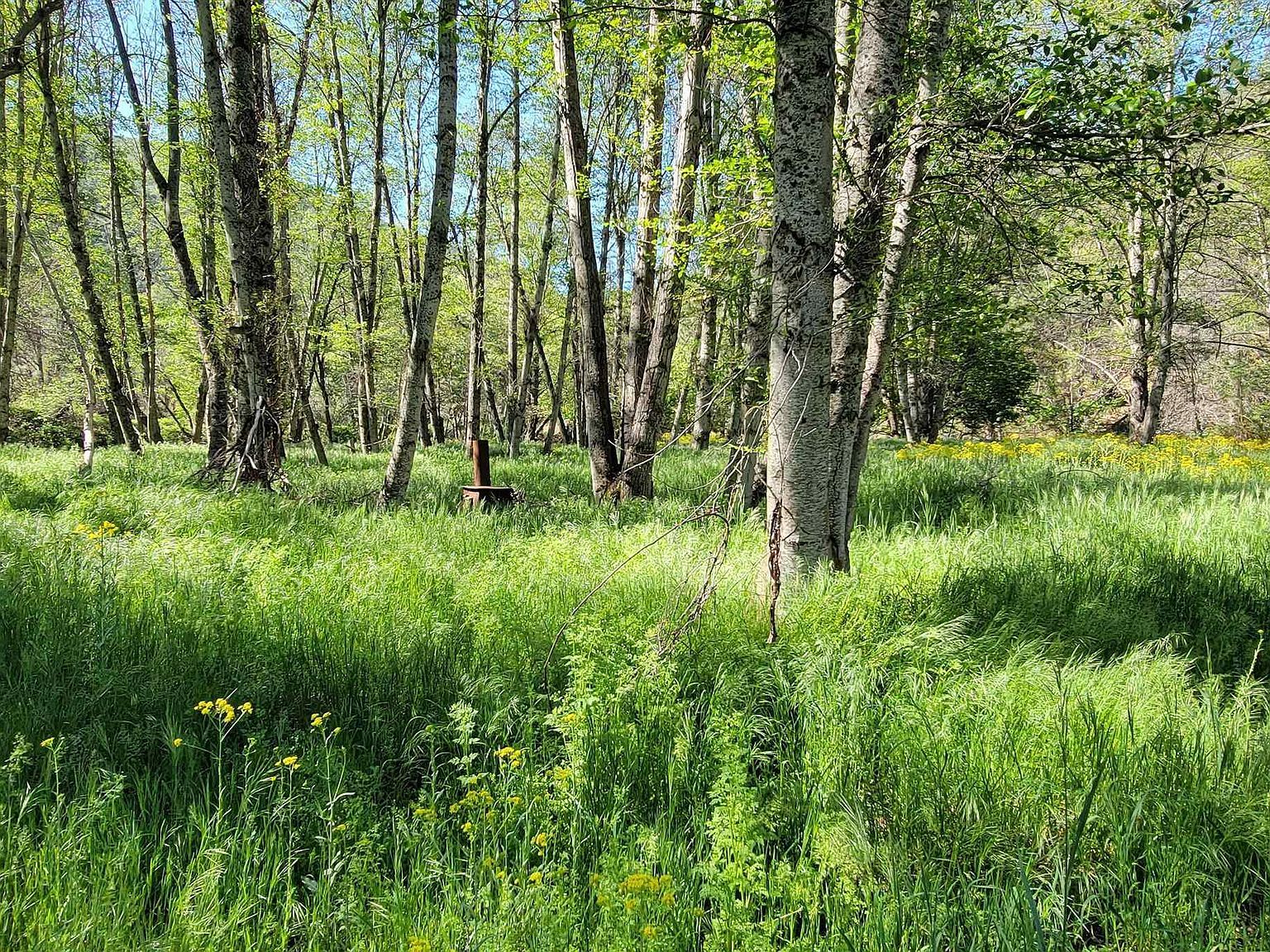 006-350-160 Humbug Creek Rd Yreka, CA 96097 - Thumbnail 5