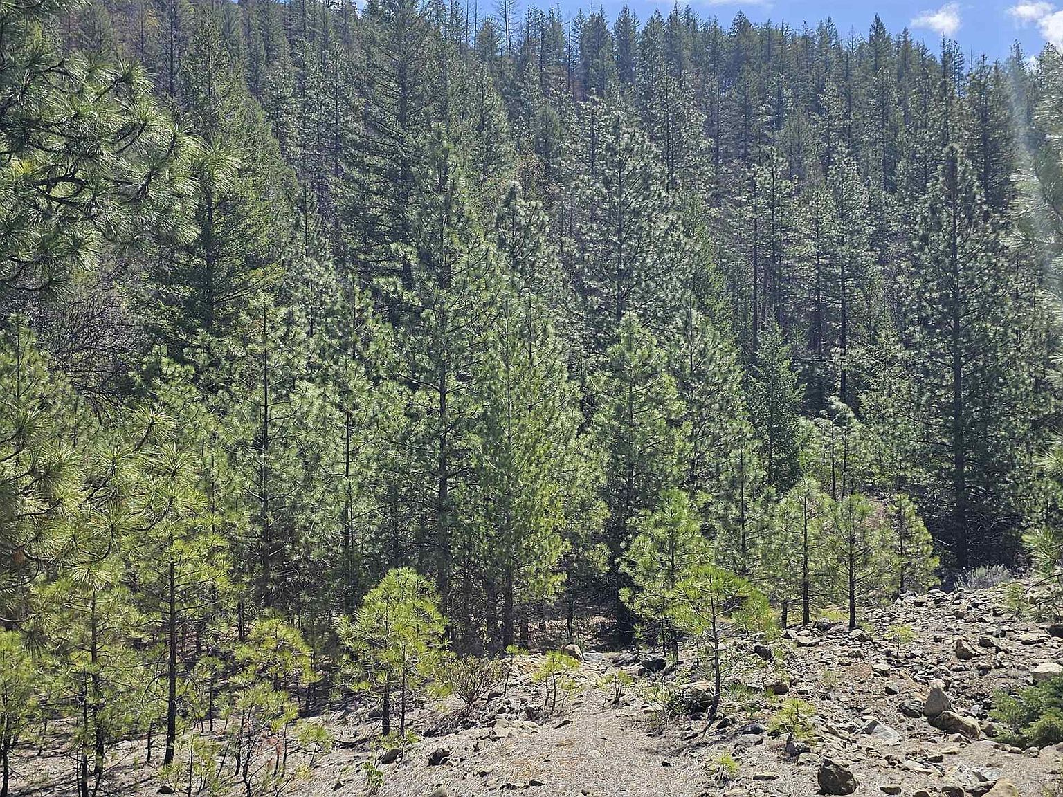 X McAdams Creek Rd Fort Jones, CA 96032 - Thumbnail 5