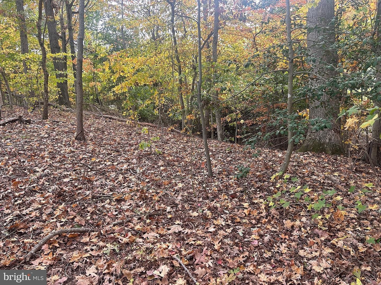 Bock Rd Fort Washington, MD 20744 - Thumbnail 5