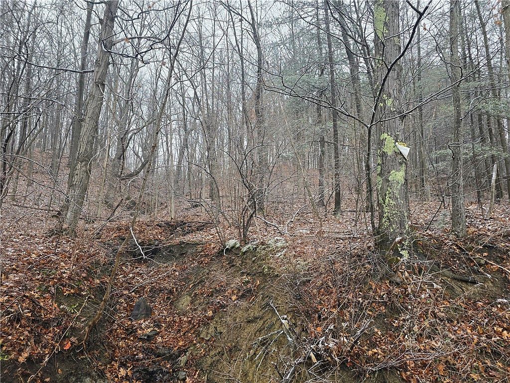 0 Warren Rd #9 Middlesex, NY 14507 - Thumbnail 5