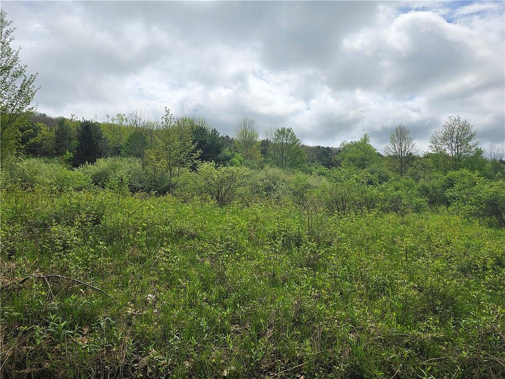 0 Ruttin Rd, Scio, NY, 14880 - Thumbnail 5