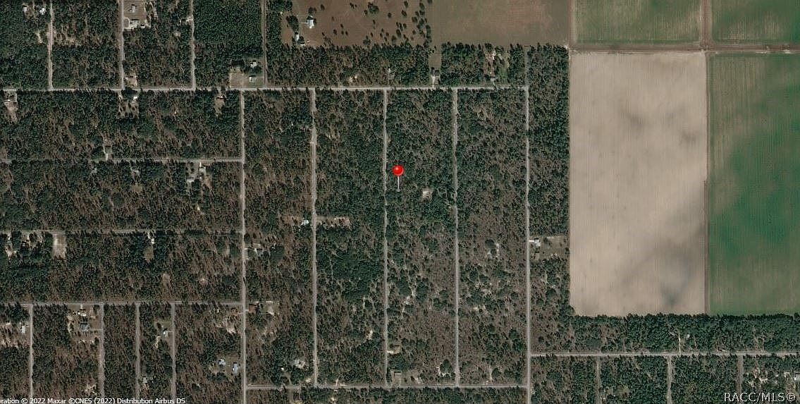 LOT 35 SW Bamboo Ln Dunnellon, FL 34431  | Land/Lot