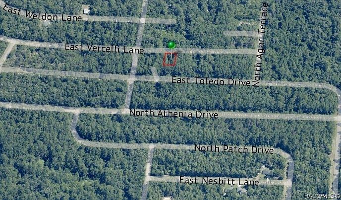 1016 E Vercelli Ln Citrus Springs, FL 34434 - Thumbnail 5