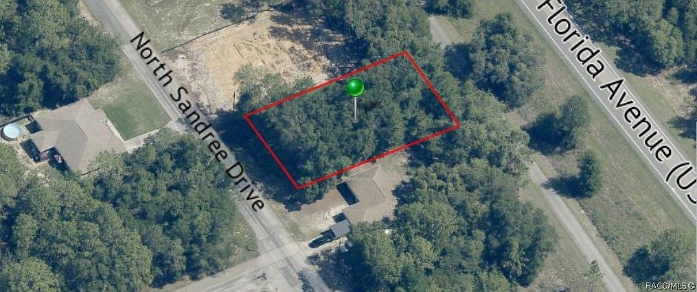 9709 N Sandree Dr Citrus Springs, FL 34434 - Thumbnail 5