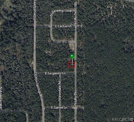 9538 N Lily Dr Citrus Springs, FL 34434 - Thumbnail 5