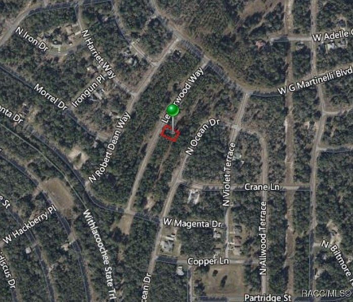 10905 N Letterwood Way Dunnellon, FL 34434 | Land/Lot