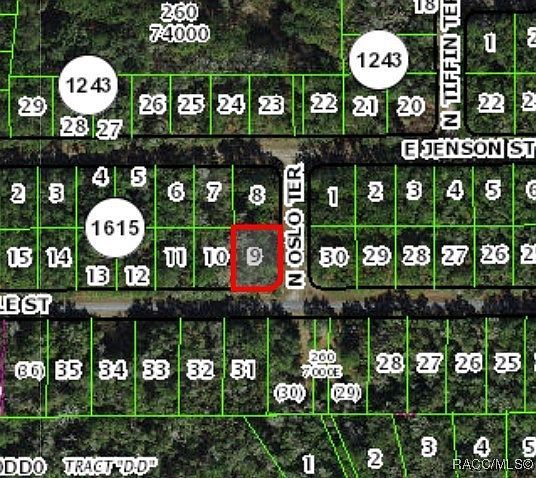 9060 N Oslo Ter Citrus Springs, FL 34434 - Thumbnail 5