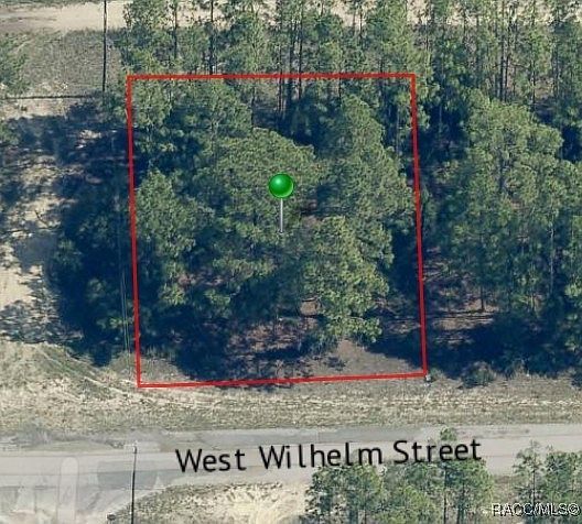 3131 W Wilhelm St Citrus Springs, FL 34433 - Thumbnail 5