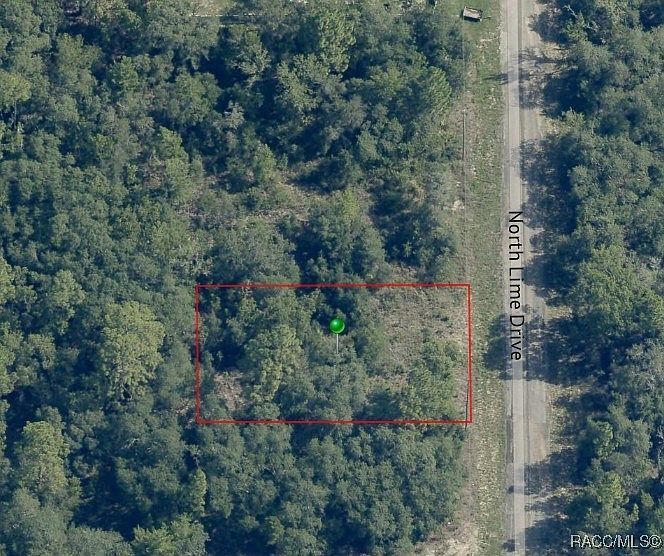 7164 N Lime Dr Citrus Springs, FL 34433 - Thumbnail 5