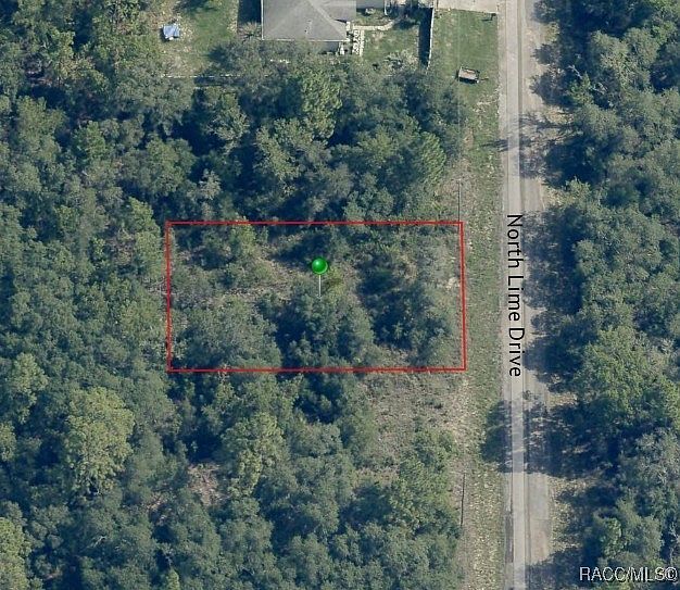 7180 N Lime Dr Citrus Springs, FL 34433 - Thumbnail 5