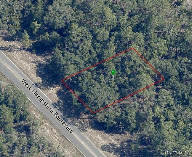 1433 W Hampshire Blvd Citrus Springs, FL 34434 - Thumbnail 5