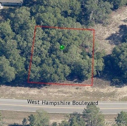 2295 W Hampshire Blvd Citrus Springs, FL 34434 - Thumbnail 5