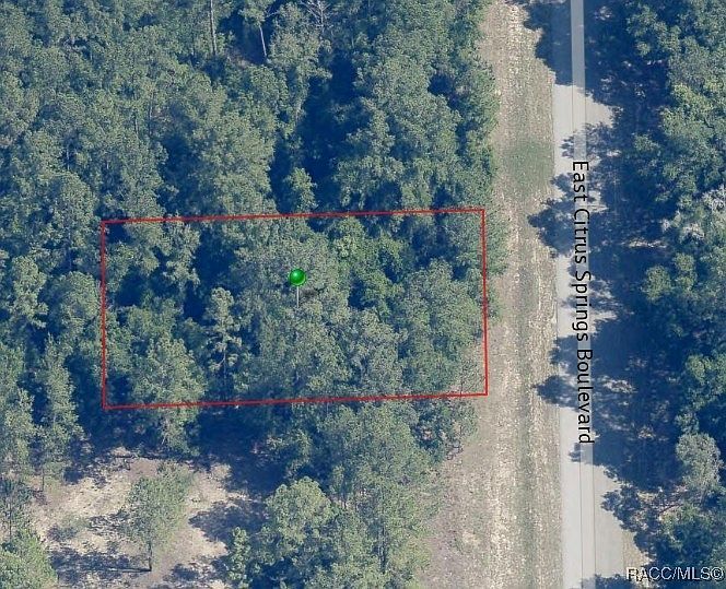 1471 E Citrus Springs Blvd Citrus Springs, FL 34434 - Thumbnail 5