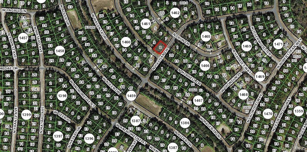 11019 N Morrell Dr Citrus Springs, FL 34434 - Thumbnail 5