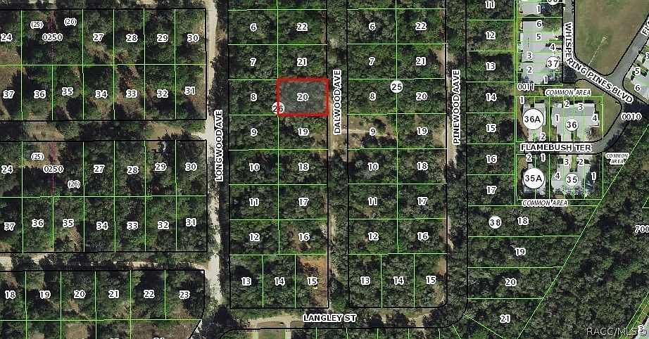 703 Dalwood Ave Inverness, FL 34453 - Thumbnail 5