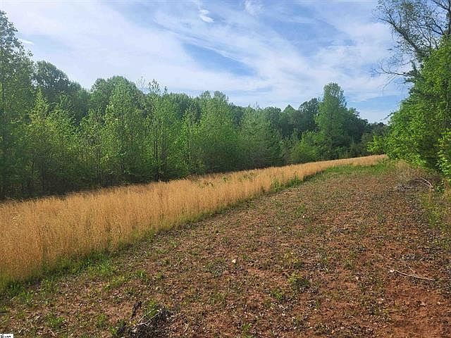 0 Babb Rd Greer, SC 29651 - Thumbnail 5