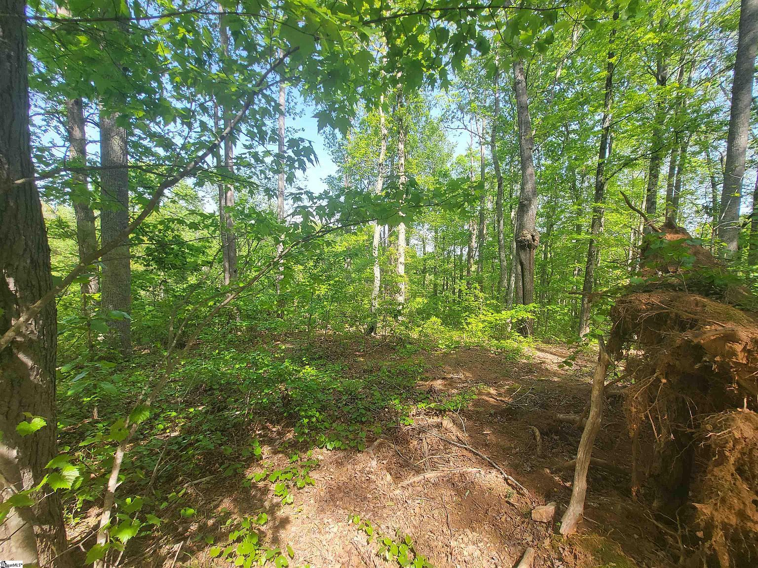 121 Laurel Valley Way Travelers Rest, SC 29690 - Thumbnail 5