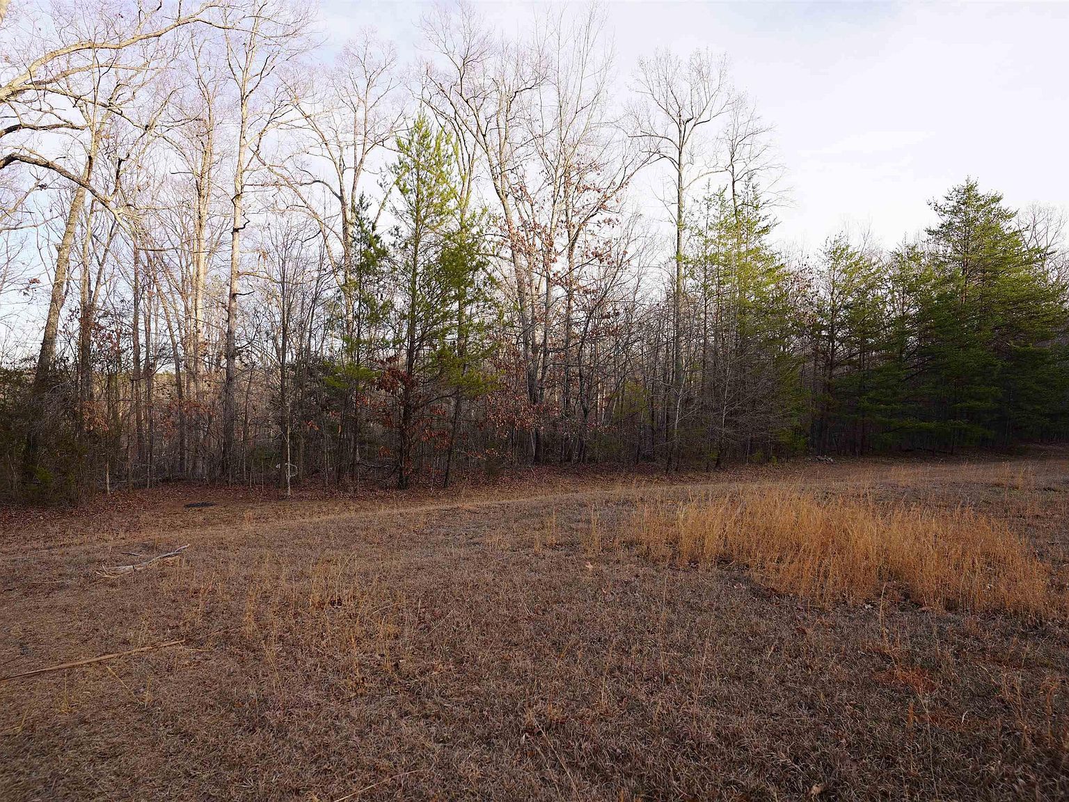 416 Bulls Rd Taylors, SC 29687 - Thumbnail 5