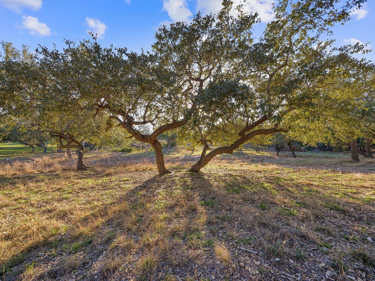 539 Clay Rdg, Canyon Lake, TX, 78133 - Thumbnail 5