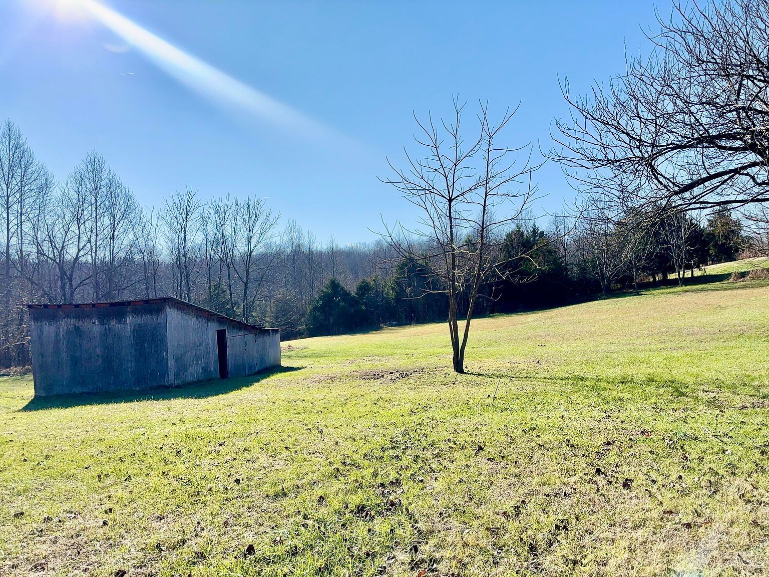 725 Pierce Donansburg Rd Greensburg, KY 42743 - Thumbnail 5