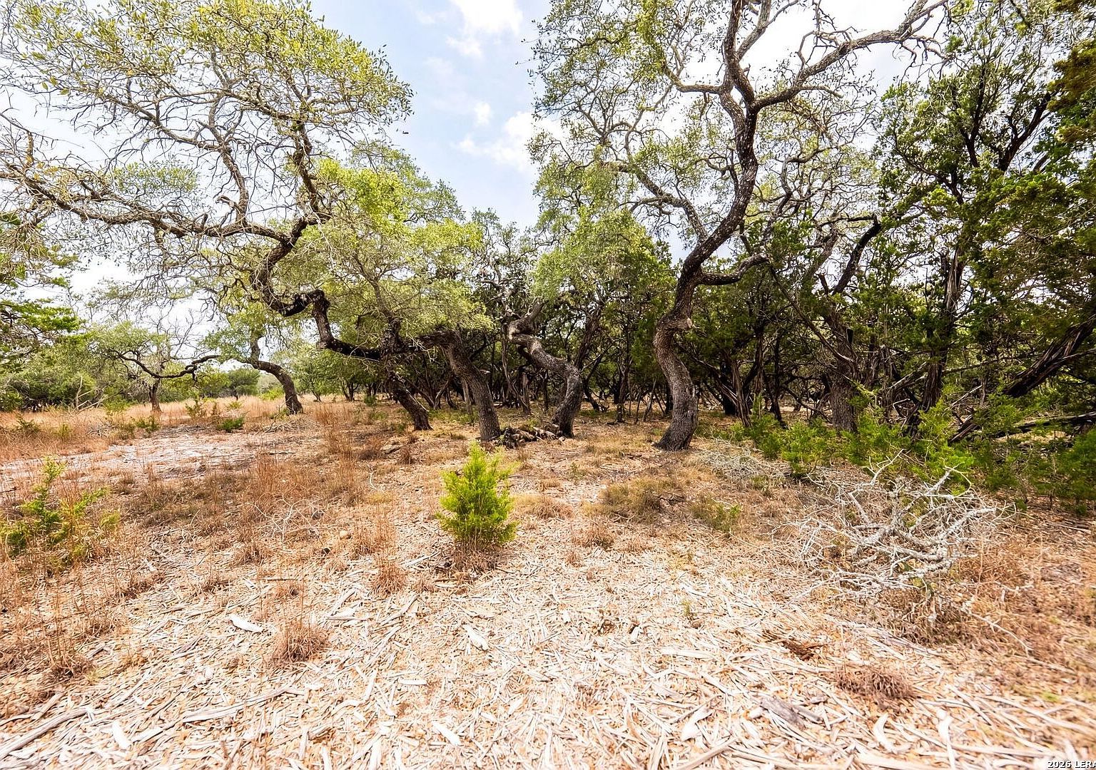 LOT 28 Rio Cordillera Boerne, TX 78006 - Thumbnail 5