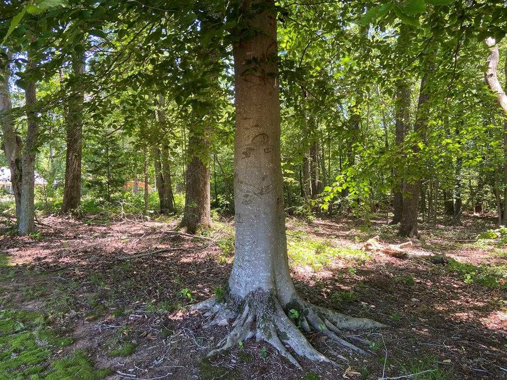 Lot 22-E Highway Nine-O-Three, Bracey, VA, 23919 - Thumbnail 5