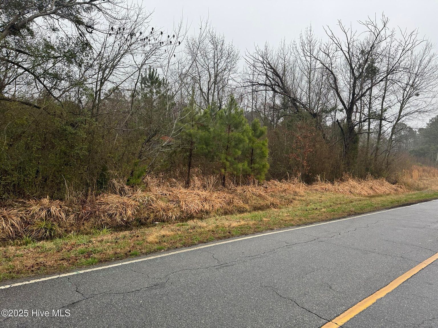 894 Swamp Rd Pantego, NC 27860 - Thumbnail 5