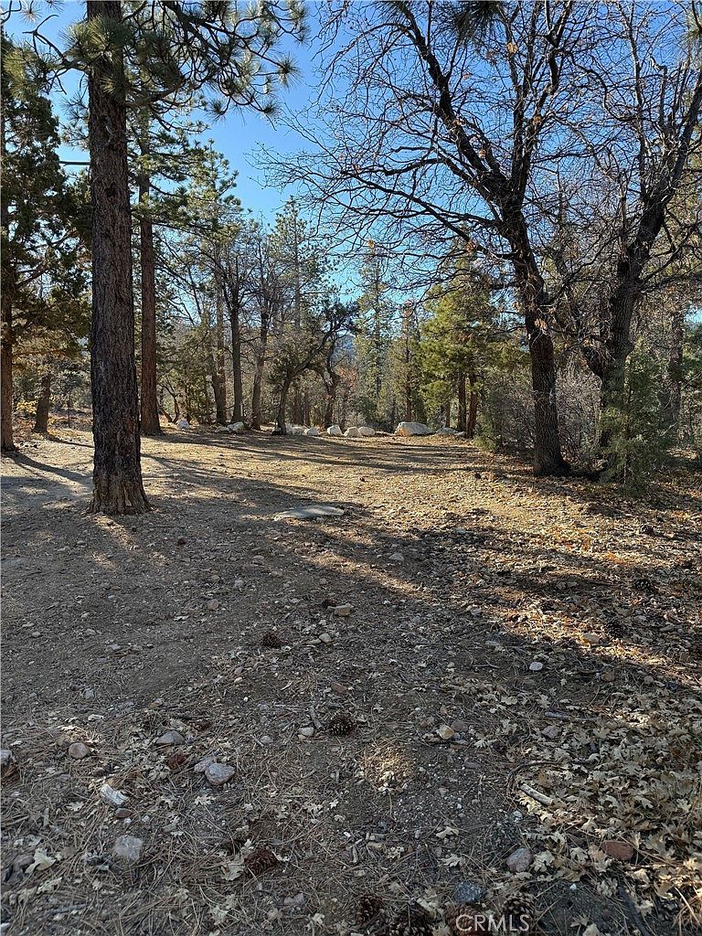 0 San Bernardino Ave LOT 4 Sugarloaf, CA 92386 - Thumbnail 5