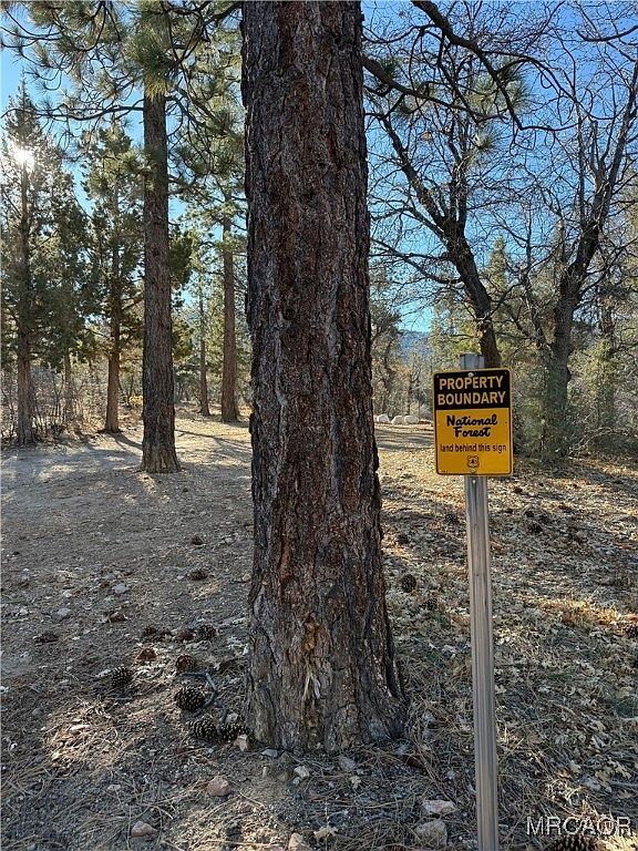 0 San Bernardino Ave Sugarloaf, CA 92386 - Thumbnail 5