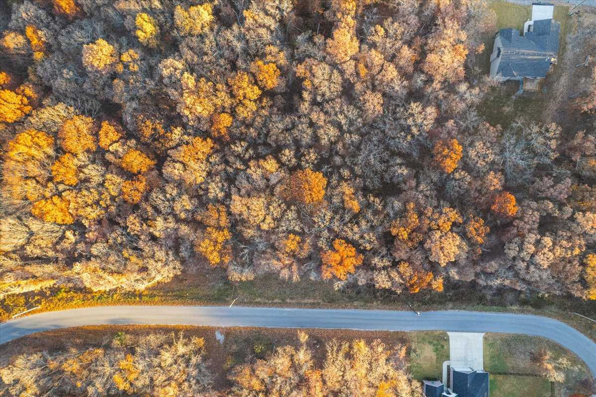 Lot 4 Blk 4 Kent Drive, Bella Vista, AR, 72714 - Thumbnail 5