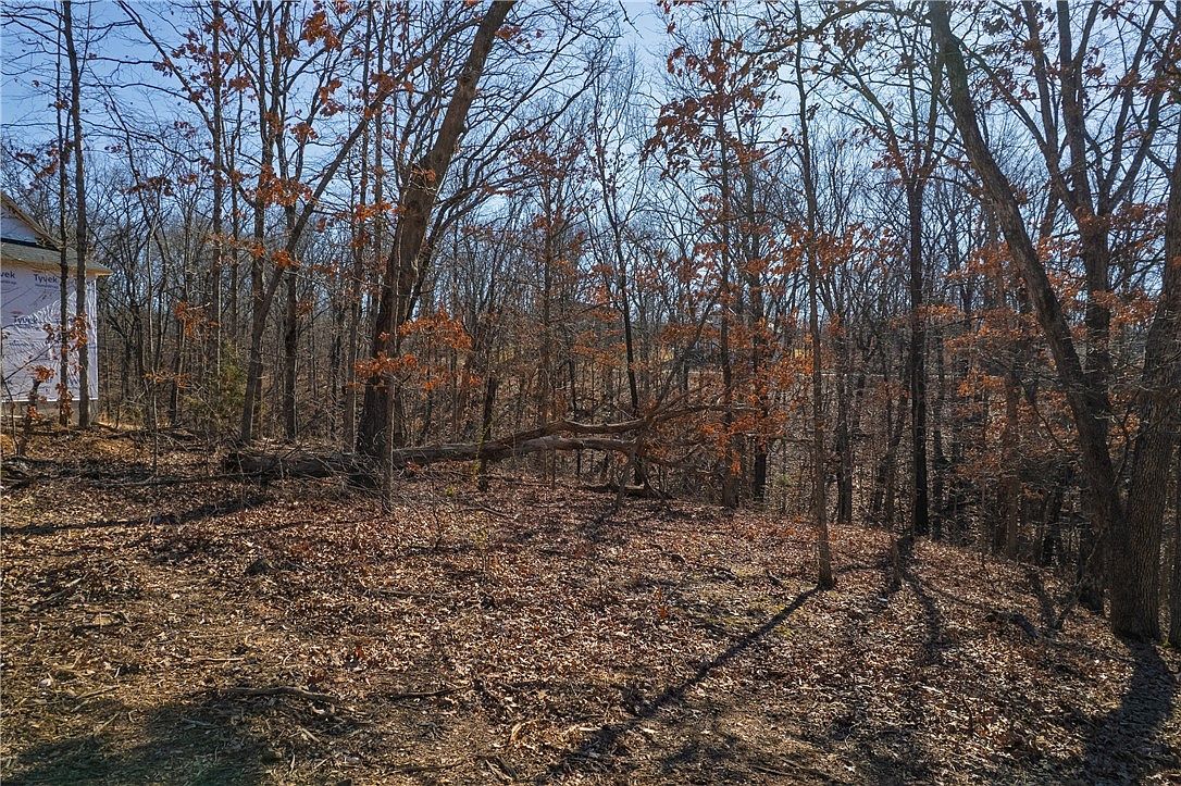 12 Bexhill Cir Bella Vista, AR 72714 - Thumbnail 5