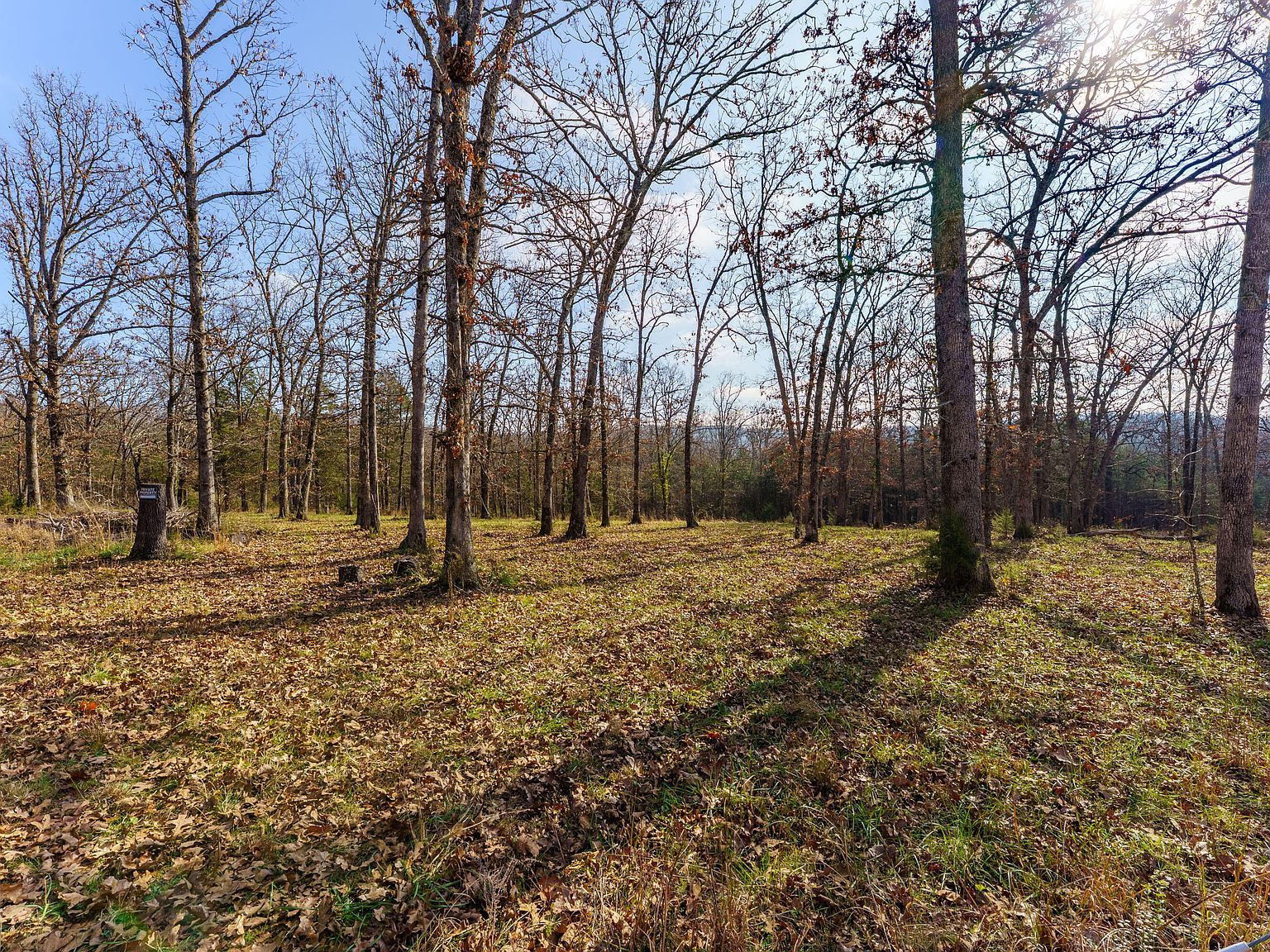 0 Century Ln Lampe, MO 65681 - Thumbnail 5