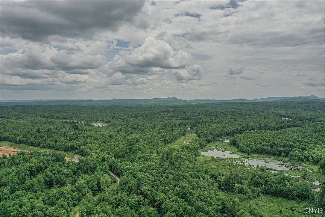 Lake Ozonia Rd #2 Saint Regis Falls, NY 12980 - Thumbnail 5