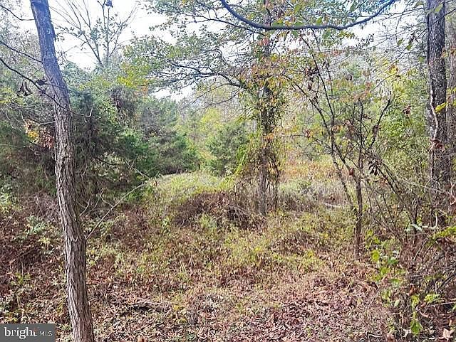 0 Motters Station Rd Rocky Ridge, MD 21778 - Thumbnail 5